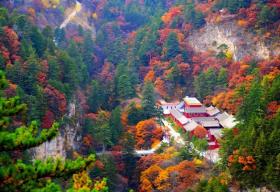 五岳归来不看山，灵空归来不看松 