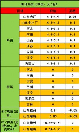 2024年11月15日市场行情：鸡苗强劲飘红，毛鸡蓄势待发 